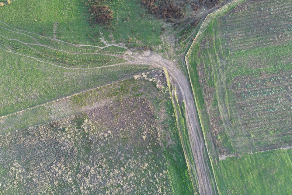 Straight overhead aerial view of green agricultural pastures divided by dirt access roads and fencelines.