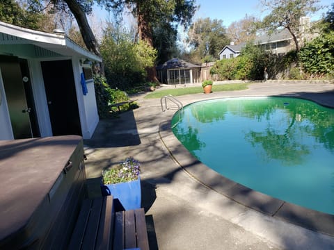 Backyard concrete patio with a covered hot tub, pool shed, and curved swimming pool surrounded by trees.