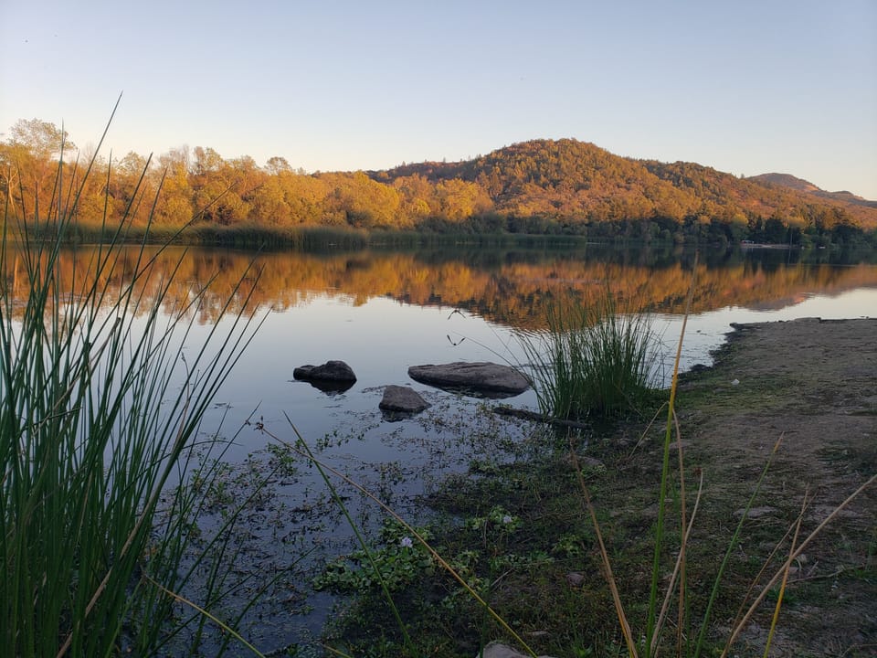 Calm water reflecting golden sunlit hills with tules and flat stones in the foreground shallows.