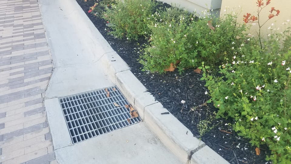Concrete drainage gutter between a paver walkway and a mulched planter leading to a square metal storm drain grate.