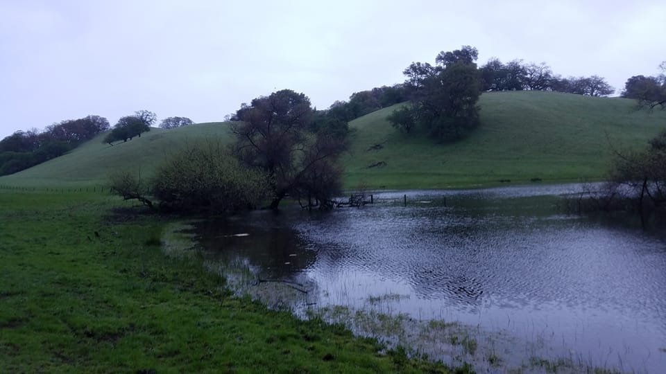 Standing floodwater submerging pasture grass, fence lines, and low trees at the base of rolling green hills.