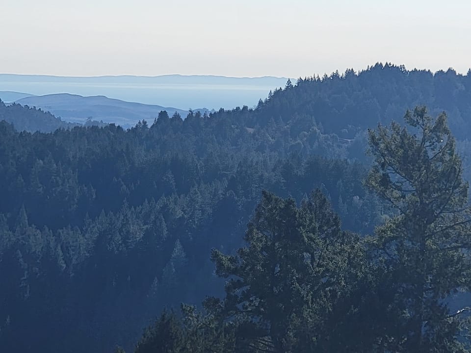 Dense evergreen forested ridges in the foreground with a pale blue body of water and distant hills on the horizon.