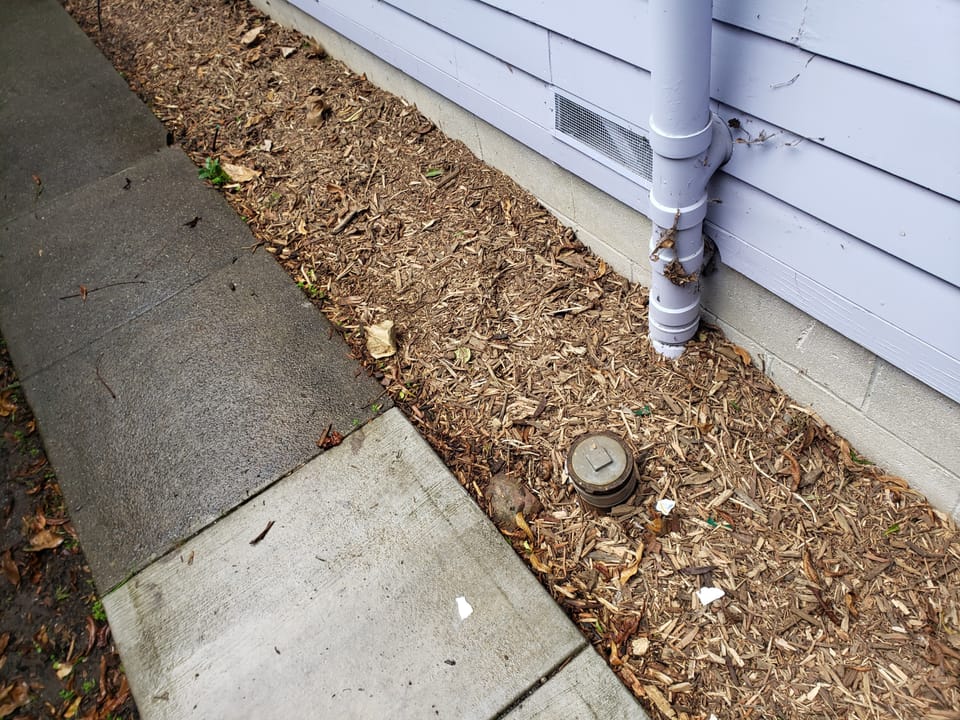 A PVC pipe and sewer cleanout cap in a wood chip mulch bed along a house foundation and concrete walkway.