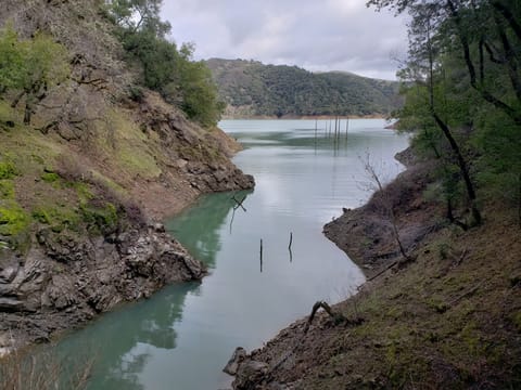 Narrow reservoir inlet flanked by steep rocky banks with bare snags emerging from calm water under overcast skies.