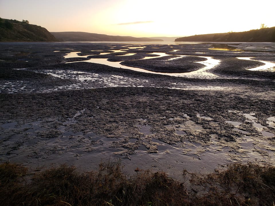Expansive mudflat at low tide with winding water channels reflecting twilight sky between rolling hills.