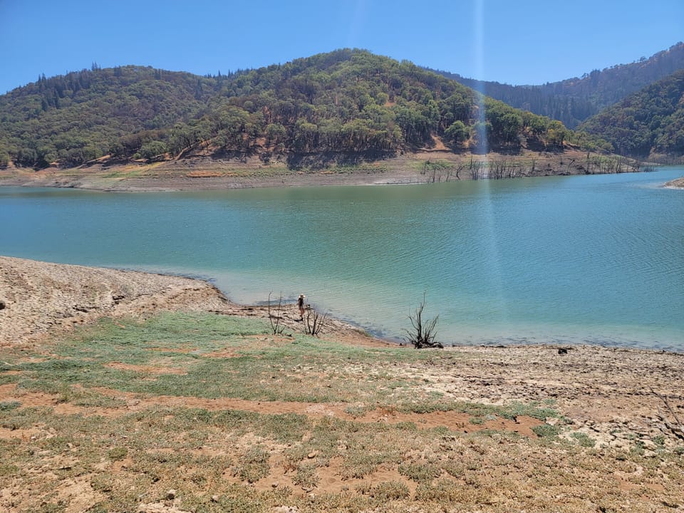 Receding water levels expose cracked banks and submerged tree snags along a reservoir under blue summer skies.