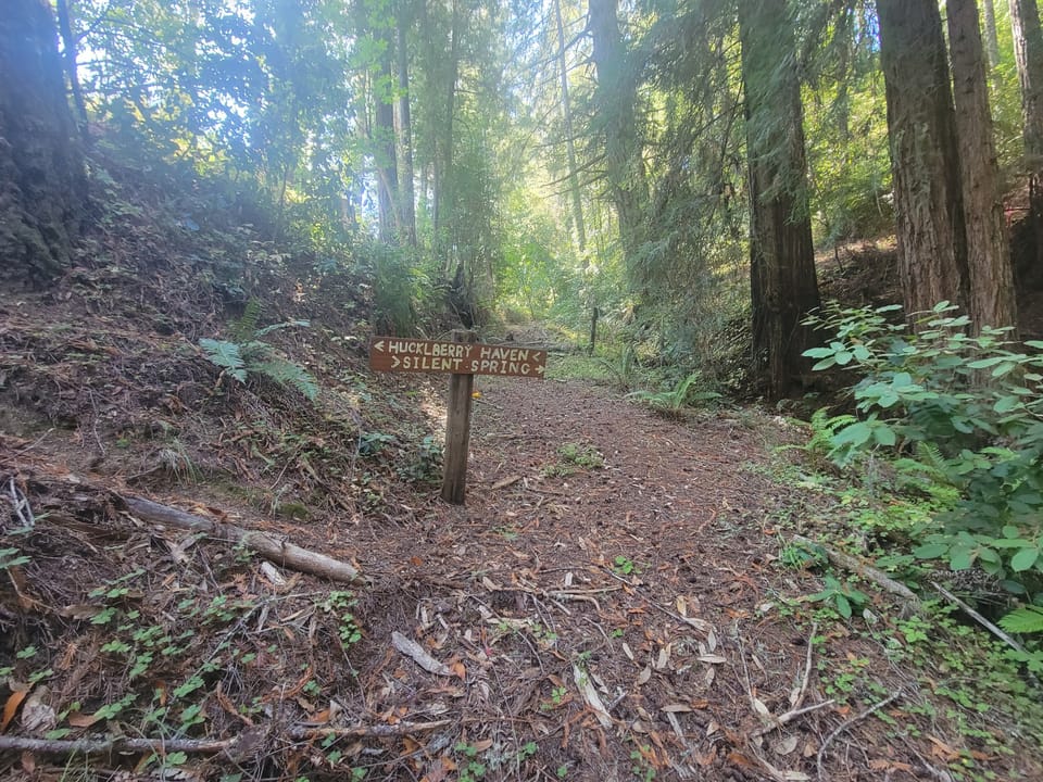A wooden trail marker pointing to Hucklberry Haven and Silent Spring on a dirt path in a redwood forest.