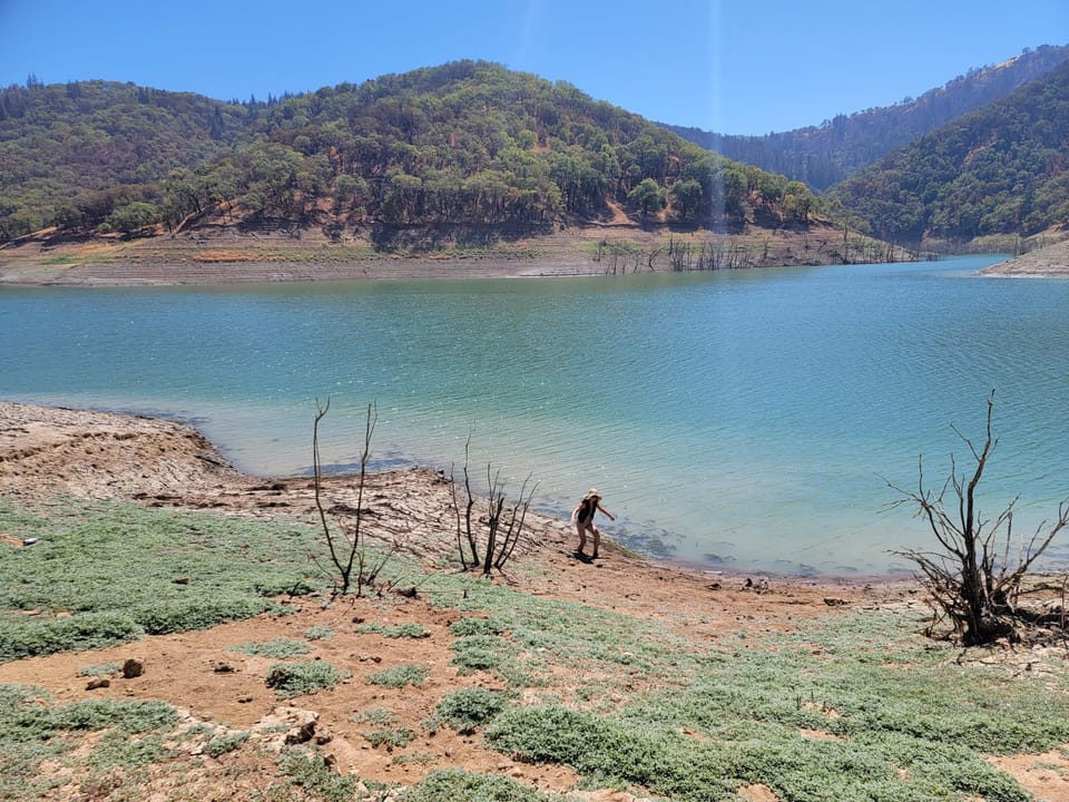 A person walks along a low reservoir shoreline exposing a dry dirt bank and dead trees under sunny hills.