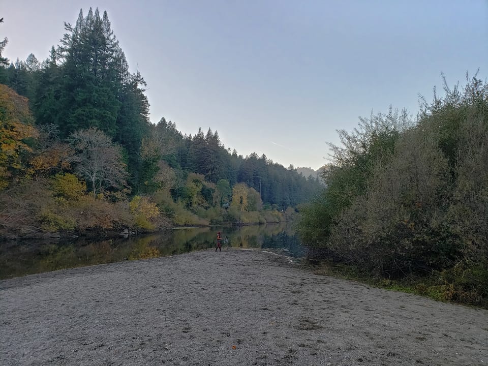 A person stands at the edge of a wide gravel bar beside calm river water backed by dense forested hills.