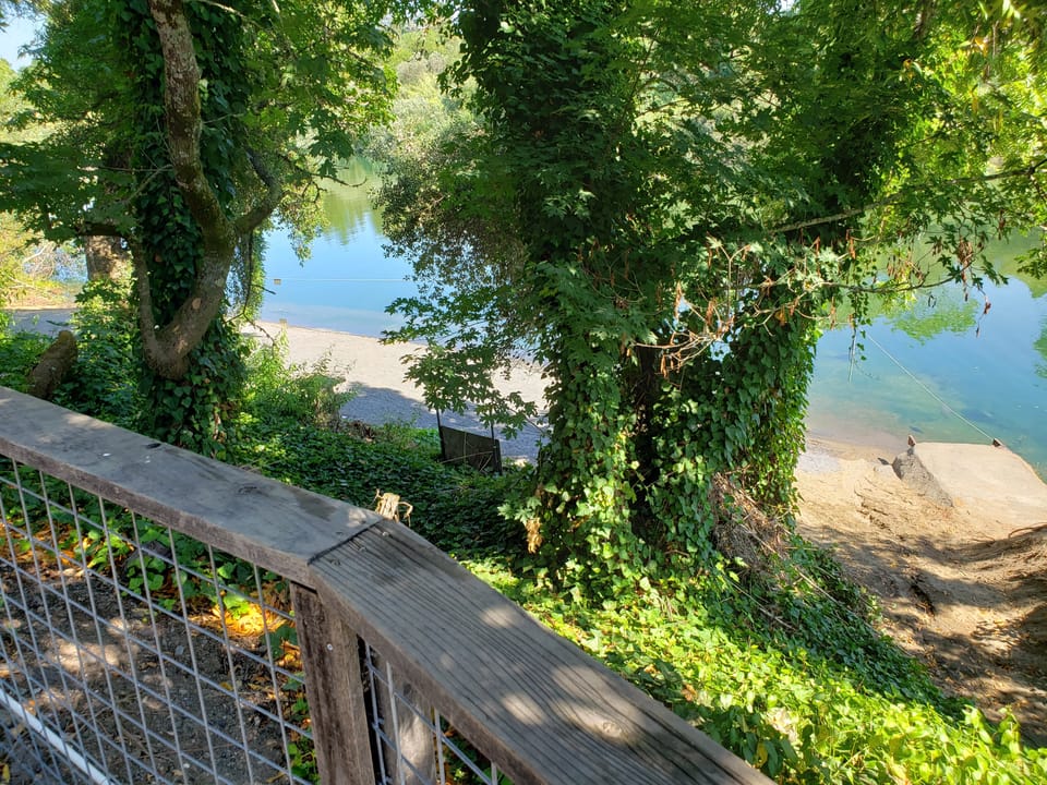 View through ivy-covered trees and a wooden deck railing down to a gravel riverbank and calm green water.