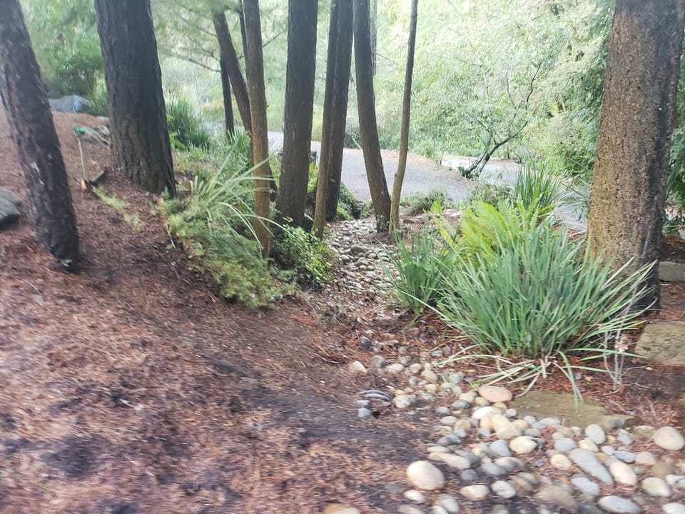 Cobblestone-lined drainage swale running down a forested slope between trees and garden plants toward a driveway.