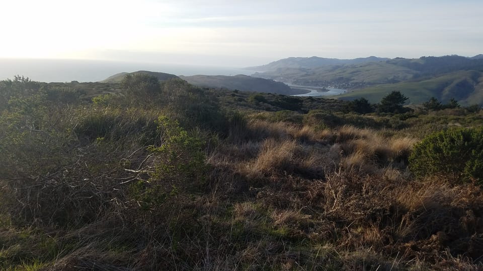 Distant view of a river meeting the ocean between green hills, framed by dry brush in the foreground.