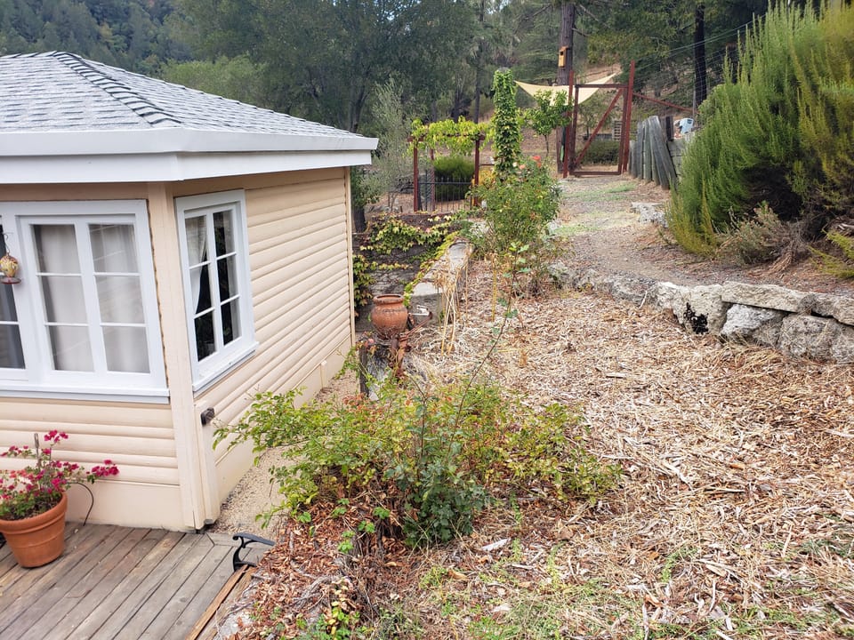 Exterior of a small outbuilding next to a hillside garden path covered in wood chips with stone retaining walls.