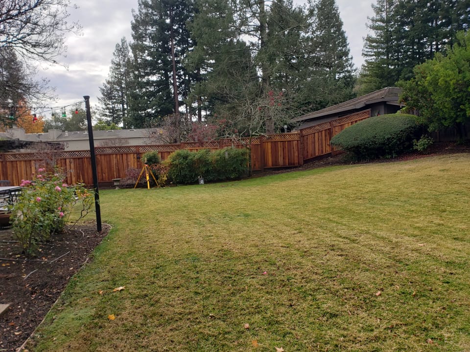Sloping green lawn in a suburban backyard bordered by a redwood fence, trees, and a yellow survey tripod.