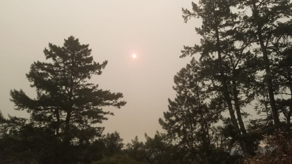 Dense wildfire smoke blankets the sky, dimming the sun above silhouetted evergreen trees.