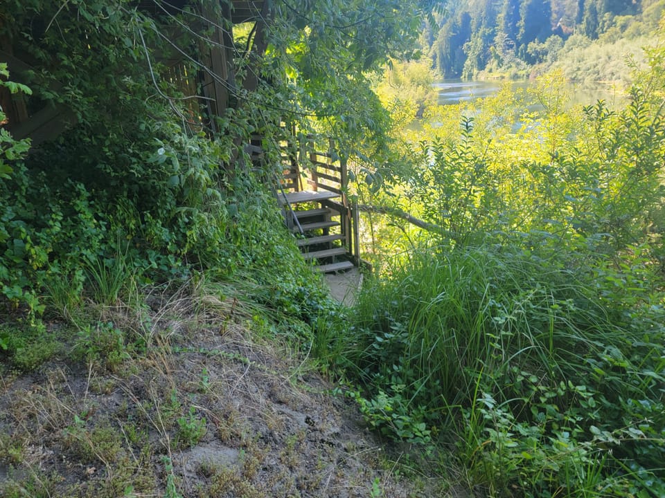 Wooden outdoor staircase descending a steep overgrown bank toward a wide river surrounded by trees.